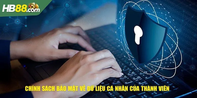 Chính sách bảo mật về dữ liệu cá nhân của thành viên